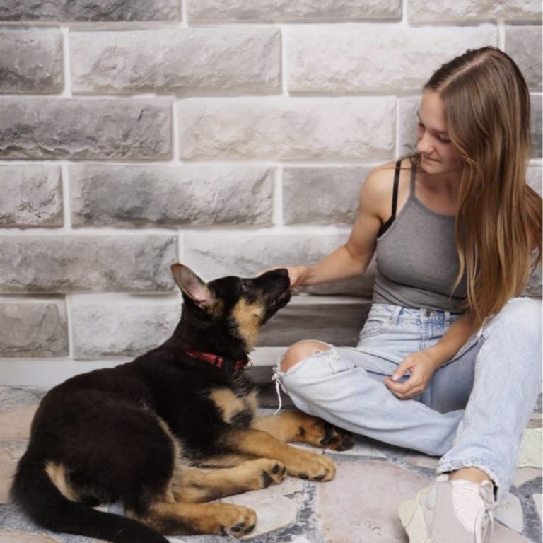 Shiva (0) en ik (17)